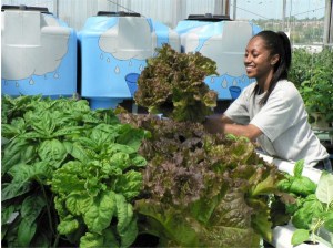 girl-with-Lettuce-600x449