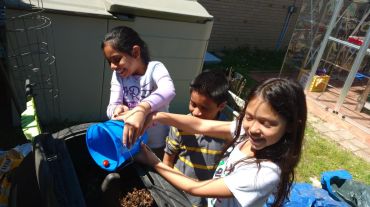 3ba6684d-abfe-412a-923e-0d5c14d498b8