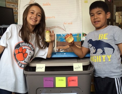 Worms, Worms, Glorious Worms, White Plains Ridgeway Students LOVE their new friends