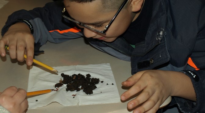 New Rochelle Trinity Students Digging In Dirt and Loving It