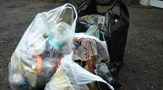 Two Dogs, One Walk Around The Block And Three Bags Of Trash