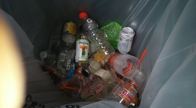 Outdoor Recycling Cans in Action at New Rochelle High School