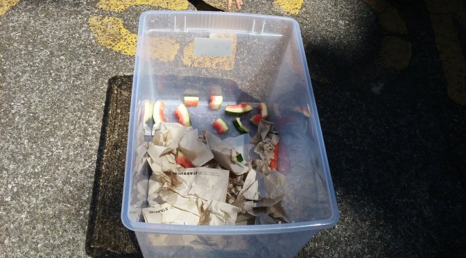 New Rochelle Barnard embracing Zero Waste